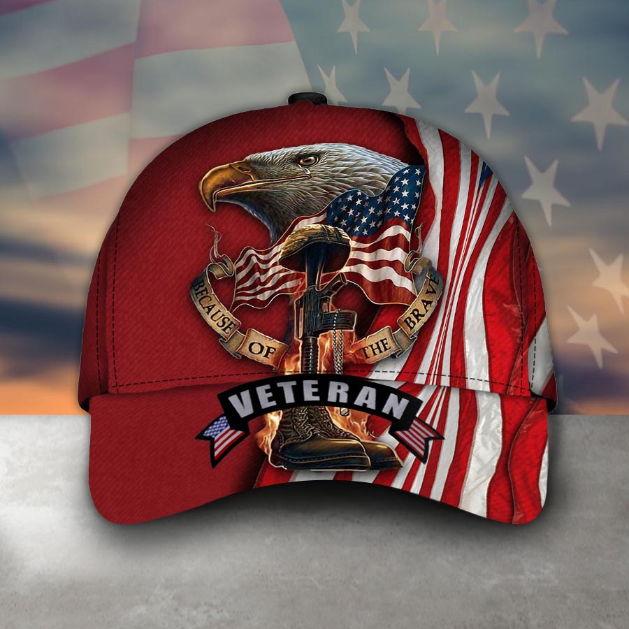 Veteran Because Of The Brave Classic Cap